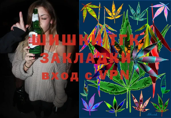 СК Алексин