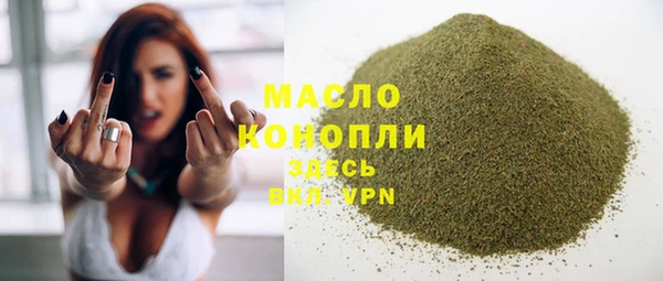 СК Алексин