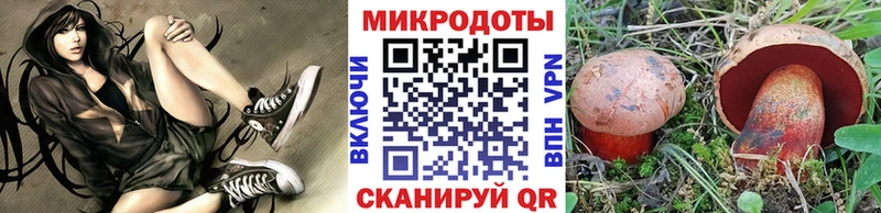 mega зеркало  купить   Яровое  Галлюциногенные грибы ЛСД 